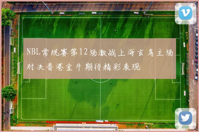 NBL常规赛第12场激战上海玄鸟主场对决香港金牛期待精彩表现